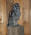 PG-BARRED-OWL-5