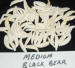 BLACK BEAR TEETH