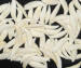 BLACK BEAR TEETH-SMALL
