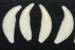 WOLF-TEETH-LARGE